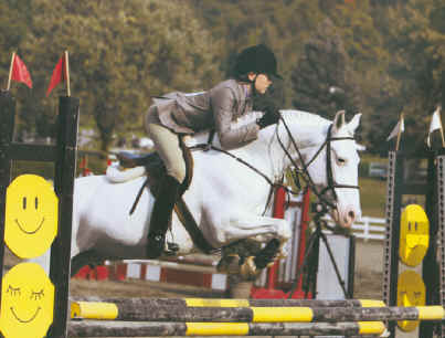 cheval a vendre