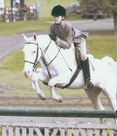 cheval a vendre