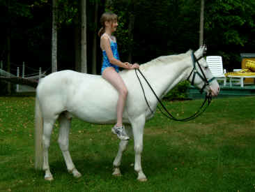 cheval a vendre