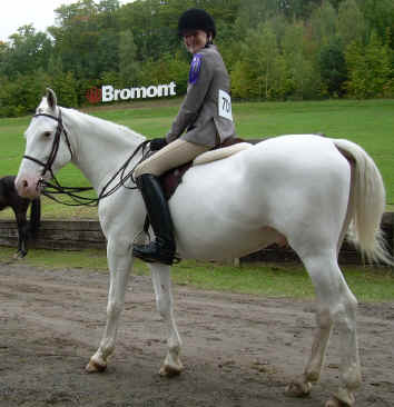 cheval a vendre