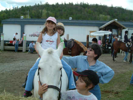 poney for sale