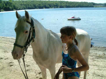 cheval a vendre