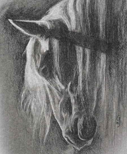 Horse Art drawing by Julie Gravelle
